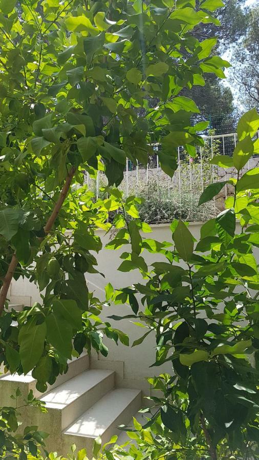 Apartman Di Mali Losinj Bagian luar foto